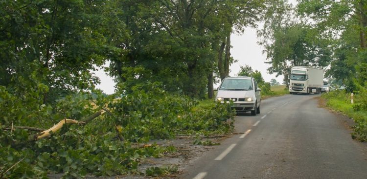 (fot. słuchacz Radia Gdańsk)