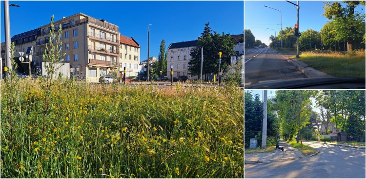 (Fot. Radio Gdańsk/Sebastian Kwiatkowski)