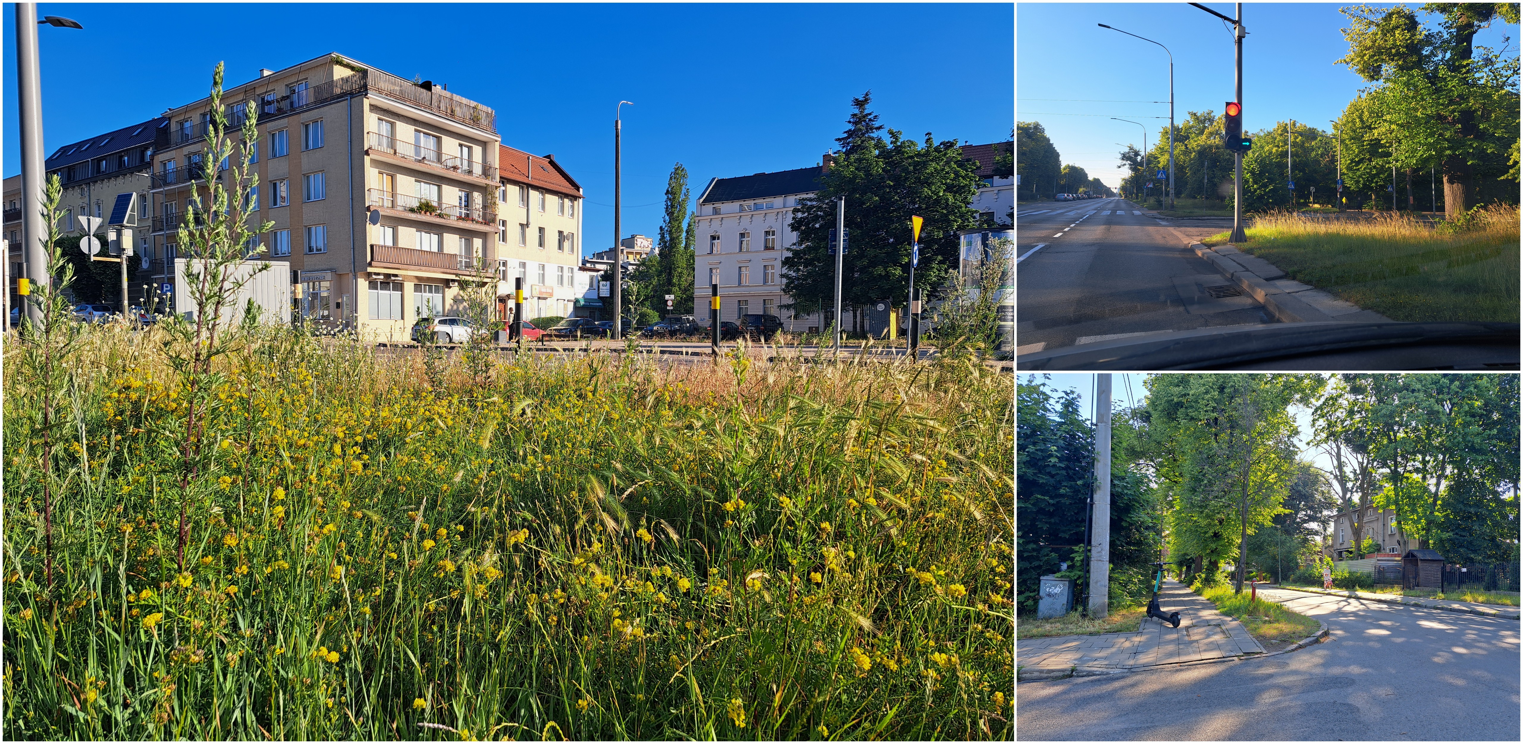 (Fot. Radio Gdańsk/Sebastian Kwiatkowski)