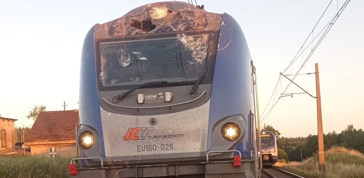 (Fot. Komenda Powiatowa Państwowej Straży Pożarnej w Tczewie)