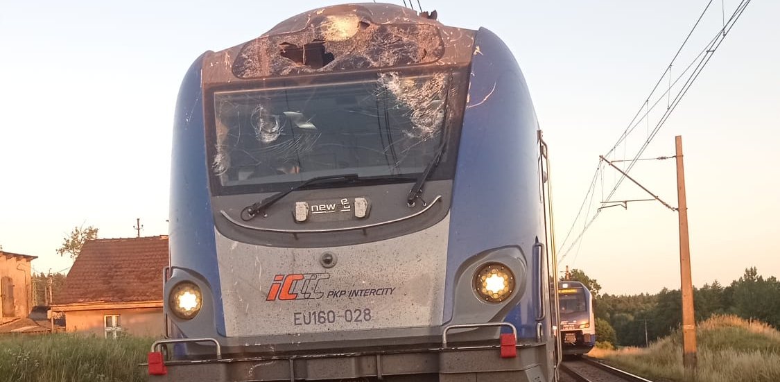 (Fot. Komenda Powiatowa Państwowej Straży Pożarnej w Tczewie)