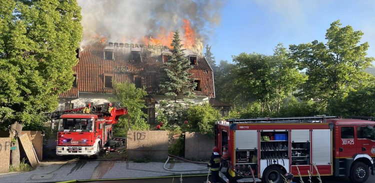 (Fot. Aleksandra Trembicka)