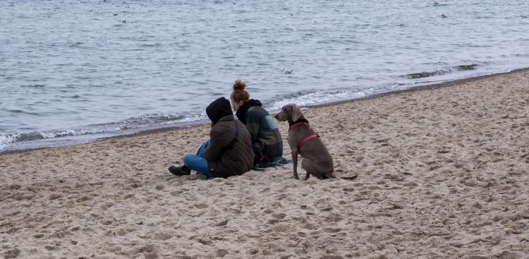 (fot. Anna Rezulak / KFP)