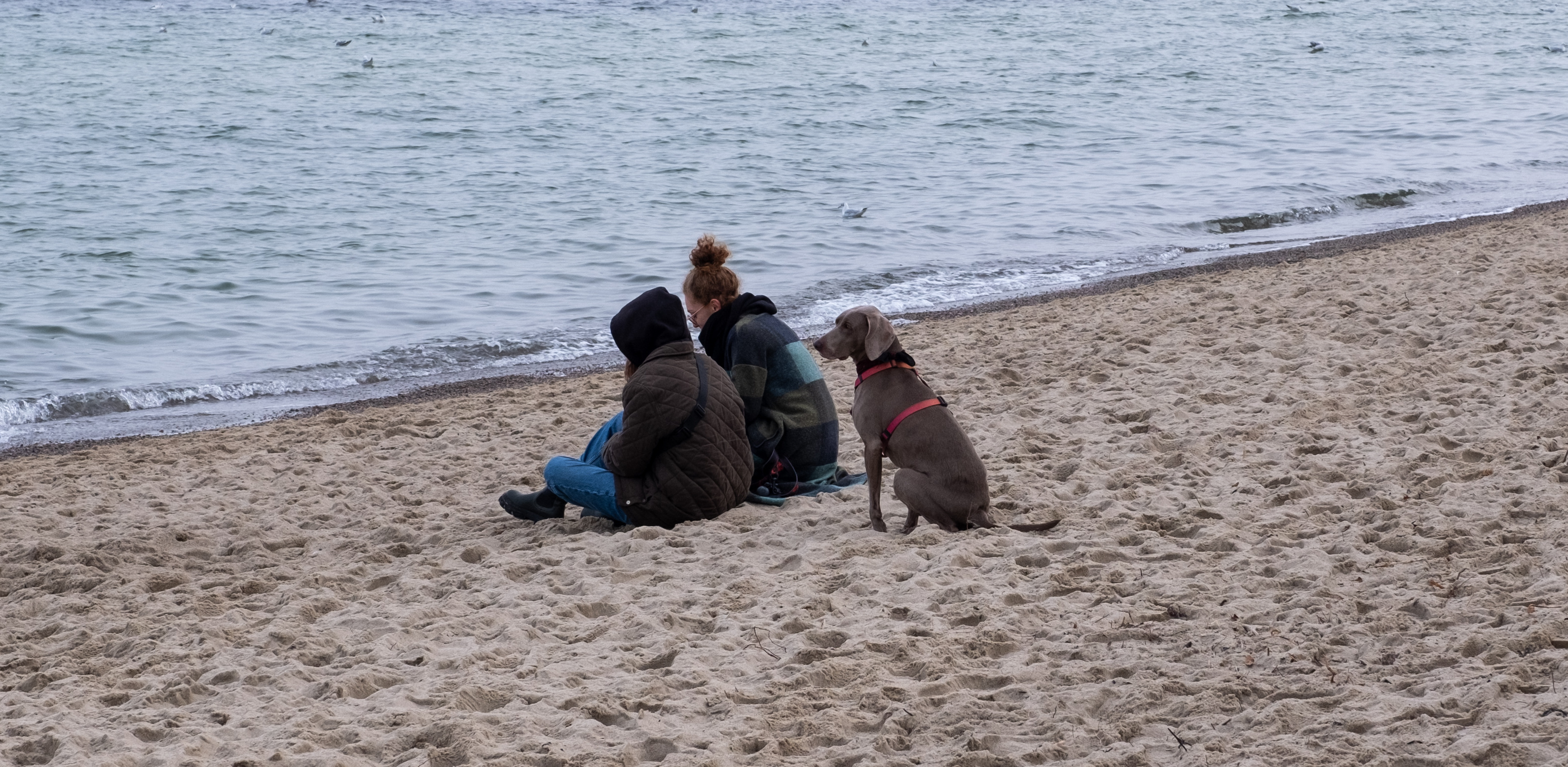 (fot. Anna Rezulak / KFP)