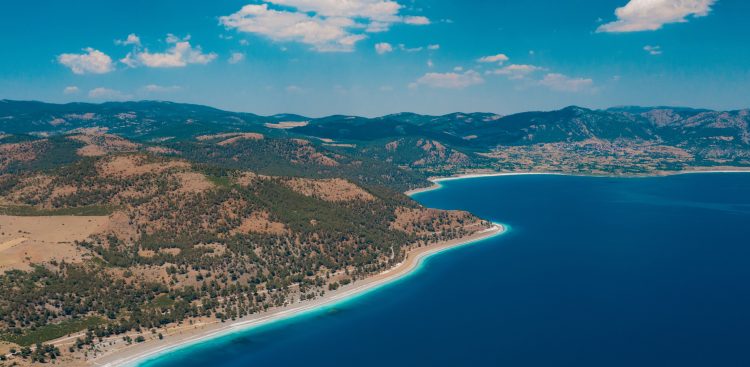 (Fot. Materiały prasowe)