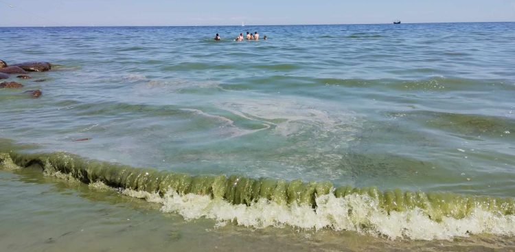 (Fot. Justyna Kobos)