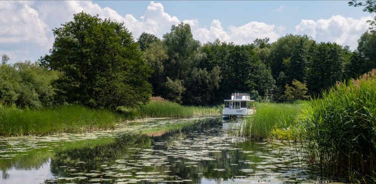 (fot. Agencja KFP/Paweł Marcinko)
