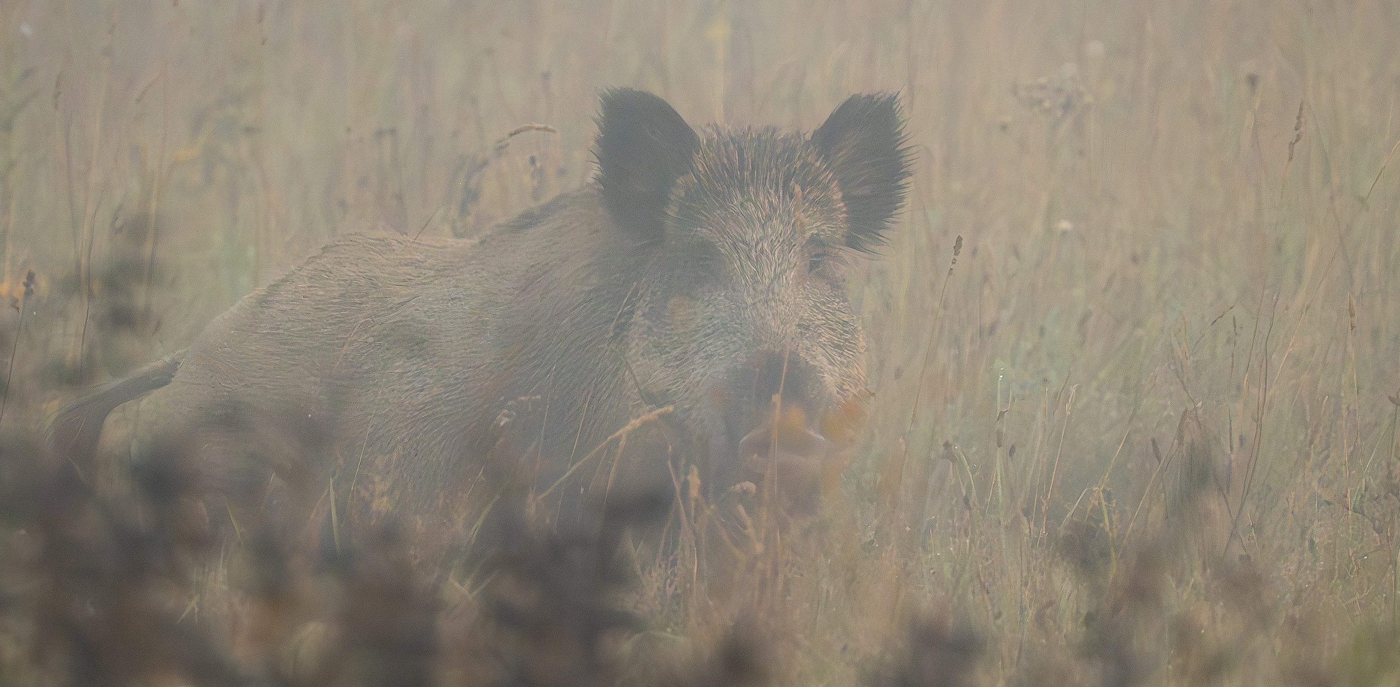 (for. Radio Gdańsk/Grzegorz Armatowski)