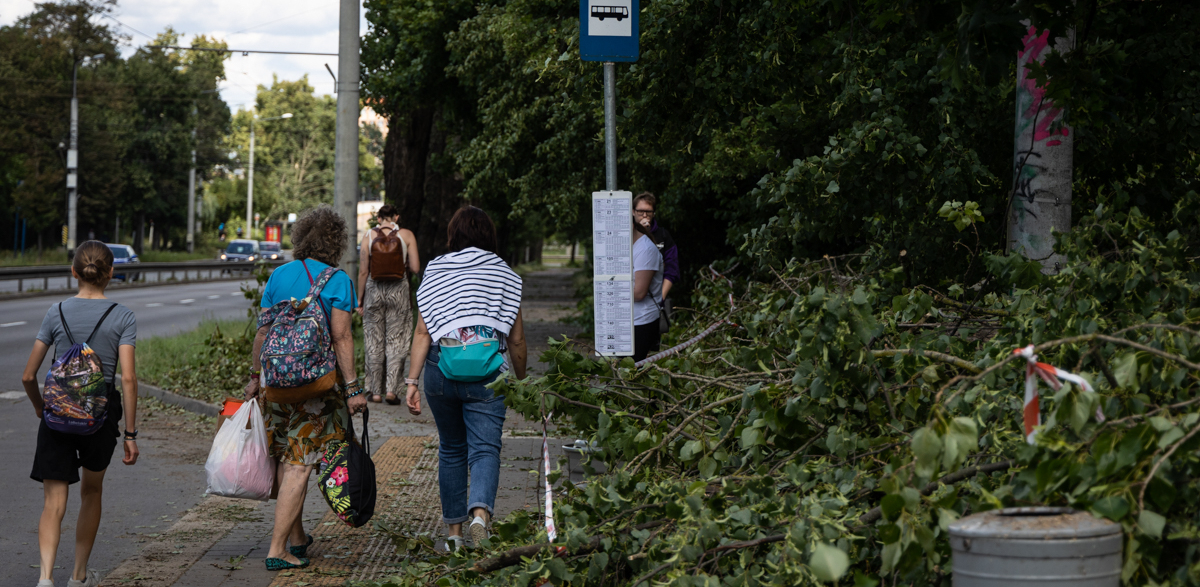 Drzewa powalone w skutek nawałnicy w Gdyni - 17.07.2024 r. (fot. Radio Gdańsk/Roman Jocher)