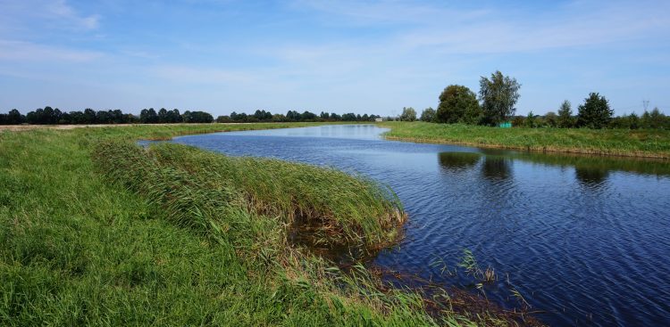 Kanał Śledziowy, okolice wsi Błotnik (fot. wikimedia.org/Krzysztof Rakowski)