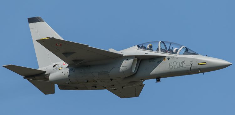 (fot. Wikimedia Commons/Gian Marco Anzellotti)