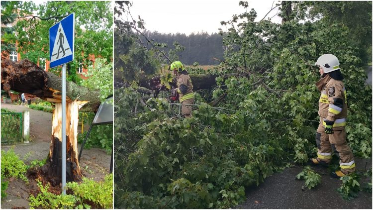 Skutki burzy na Pomorzu. (Fot. Facebook/KP PSP w Chojnicach)