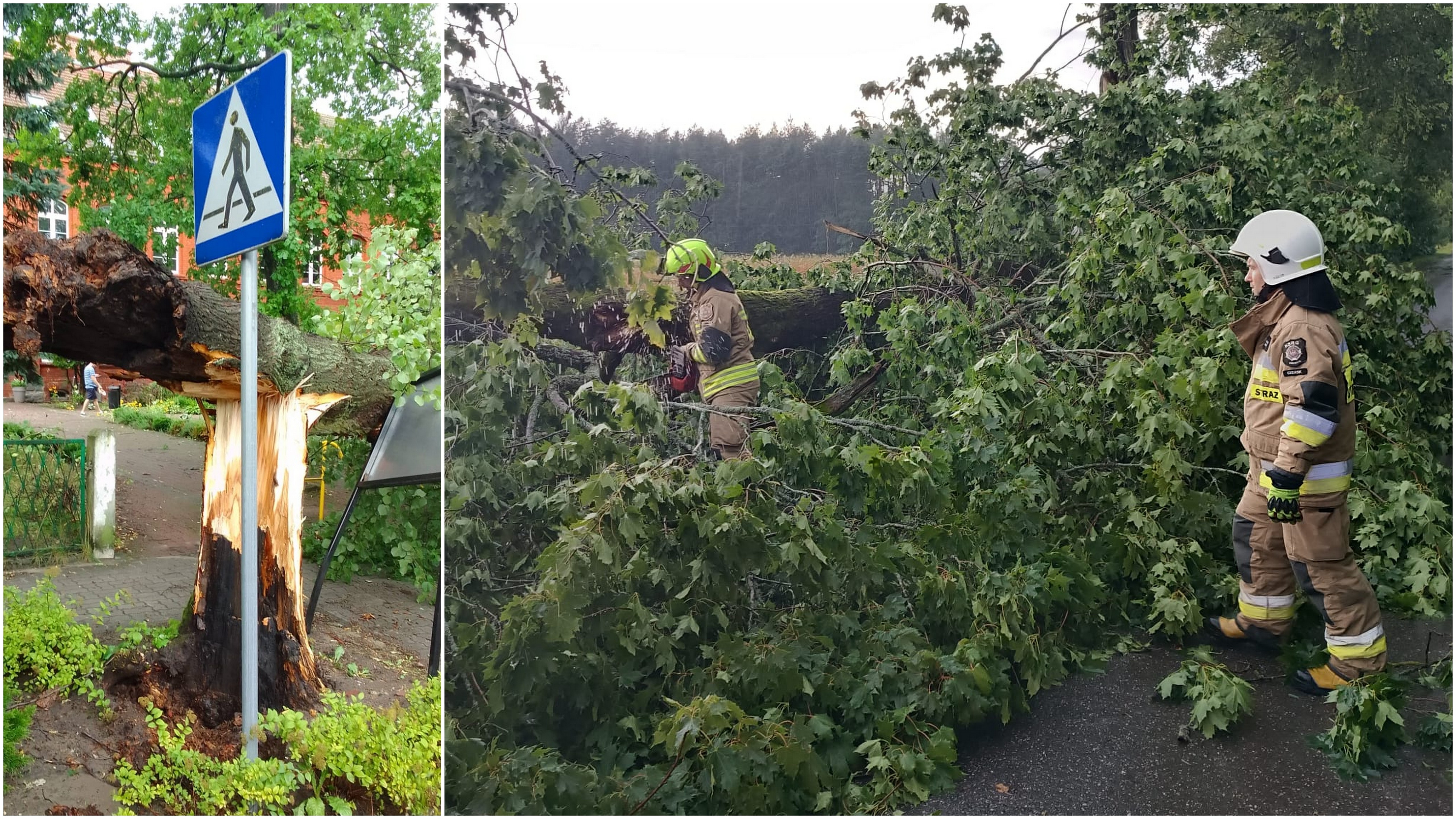 Skutki burzy na Pomorzu. (Fot. Facebook/KP PSP w Chojnicach)
