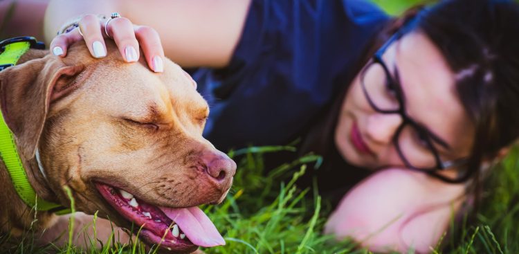 (fot. Schronisko Słupsk)