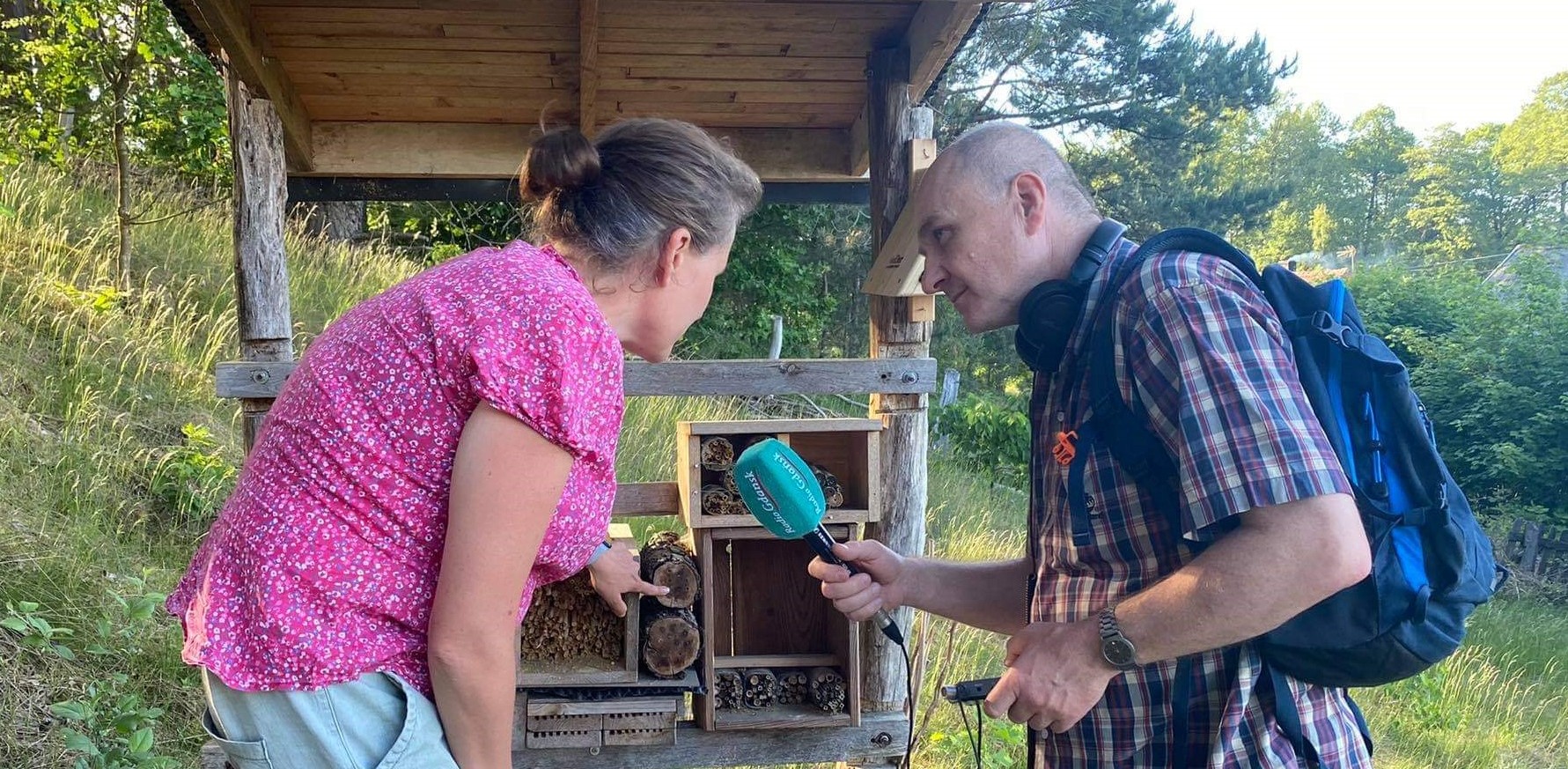 Domki dla zapylaczy (fot. Radio Gdańsk/Andrzej Urbański)