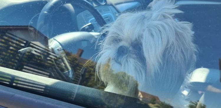 (Fot. Policja.gov.pl)