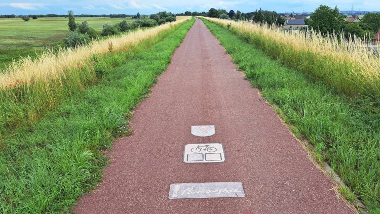 Ścieżka rowerowa nad Wisłą. (fot. Radio Gdańsk/Włodzimierz Raszkiewicz)