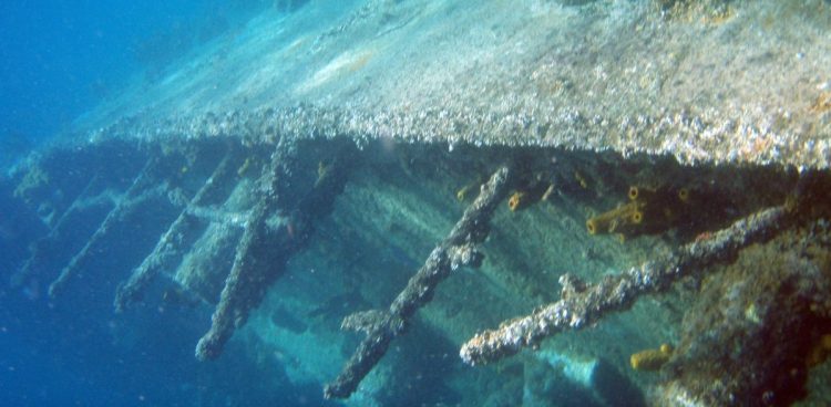 Zdjęcie ilustracyjne (fot. Pxhere.com)