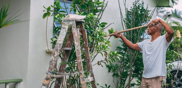 (fot. mat. sponsorowane)