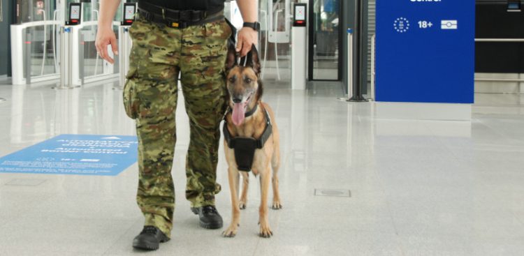 Funkcjonariusz SG z psem służbowym na gdańskim lotnisku. Zdjęcie ilustracyjne (fot. MOSG)