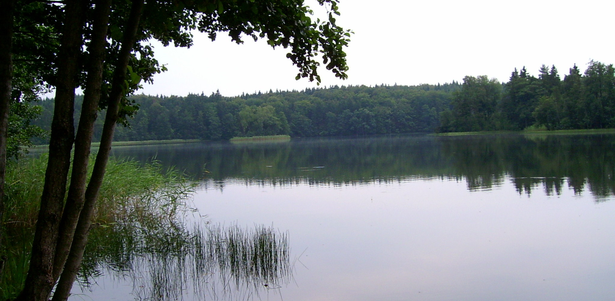 (fot. Wikimedia Commons)