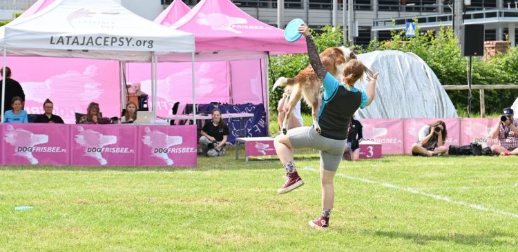 Zawody „Latające psy” w Gdyni (fot. UM w Gdyni/Magdalena Śliżewska)