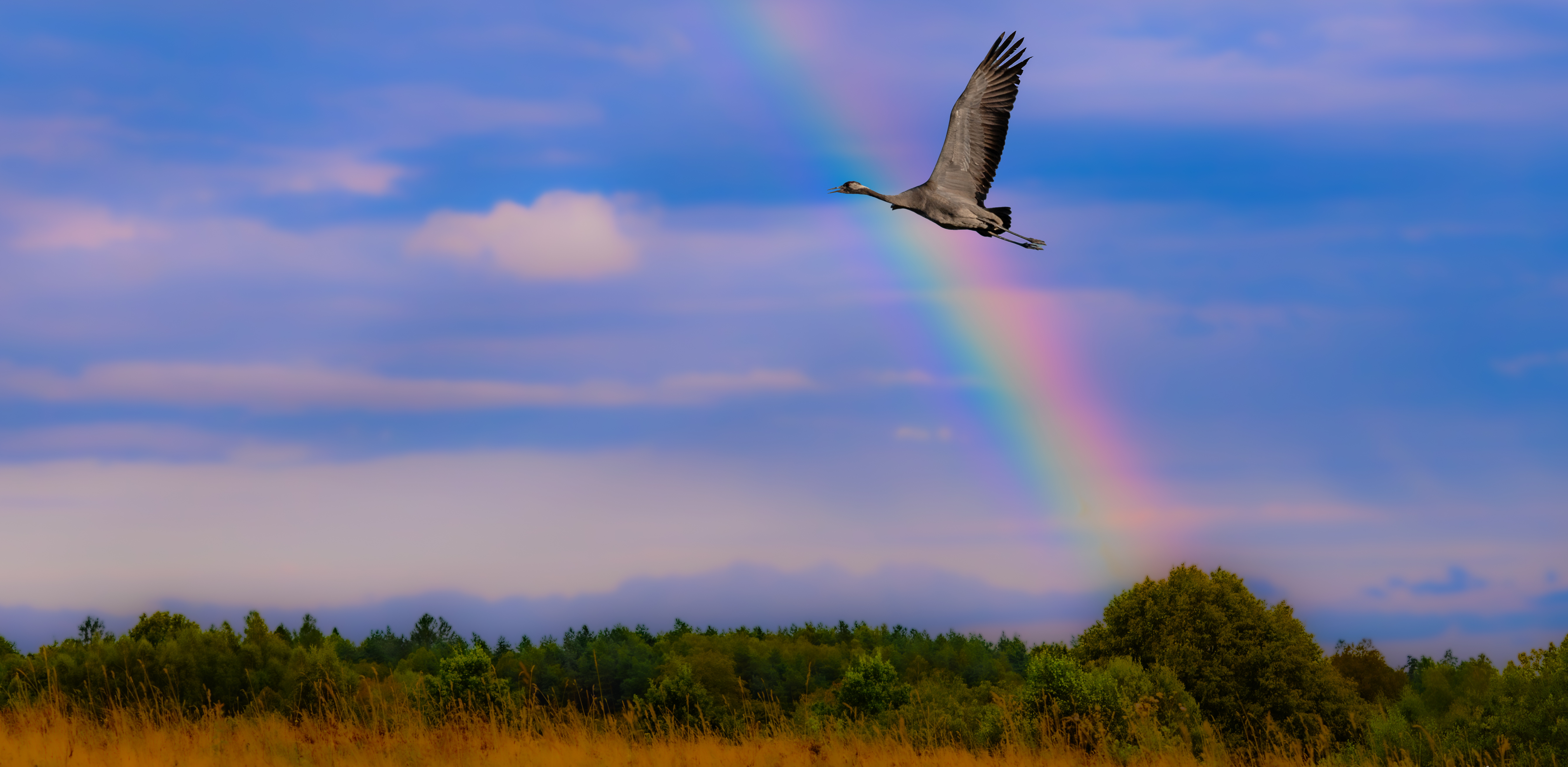 (fot. Radio Gdańsk/Grzegorz Armatowski)