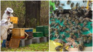 (fot. Radio Gdańsk/Mateusz Czerwiński/Pixabay)