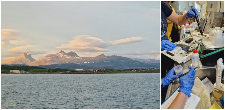 Statek badawczy, należący do Instytutu Oceanologii PAN w Sopocie, od 38 lat odbywa regularne rejsy badawcze na Spitsbergen
(Fot. arch. IO PAN w Sopocie)