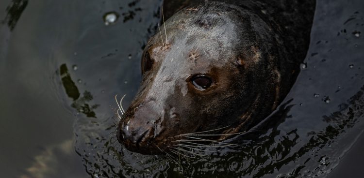 Zdjęcie ilustracyjne (fot. Krzysztof Mystkowski / KFP)