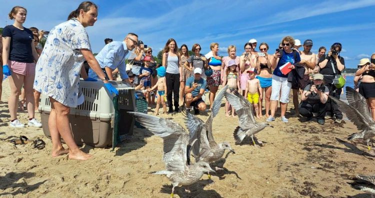 (fot. Radio Gdańsk/Włodzimierz Raszkiewicz)