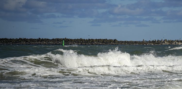(fot. Agencja KFP/Paweł Marcinko)