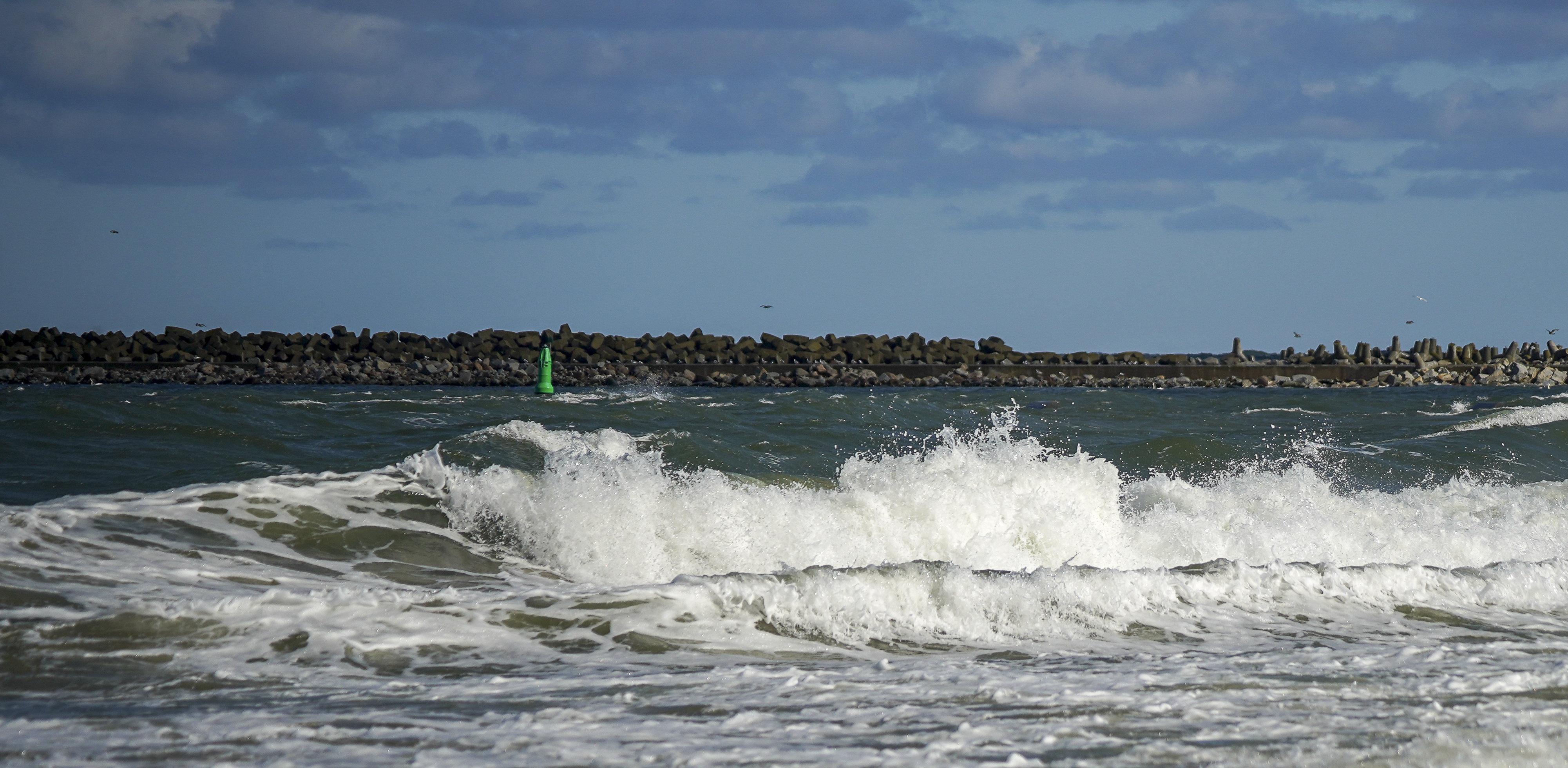 (fot. Agencja KFP/Paweł Marcinko)