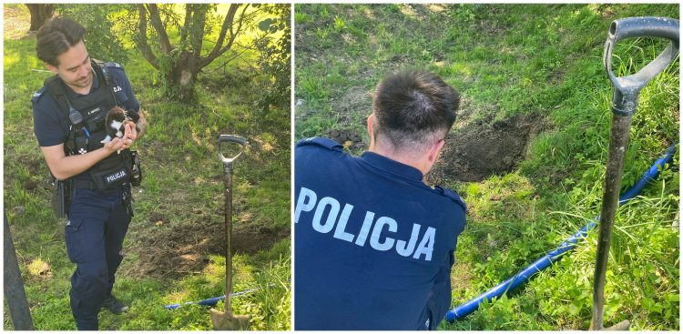 Zwierzę udało się uratować
(Fot. KPP Nowy Dwór Gdański)