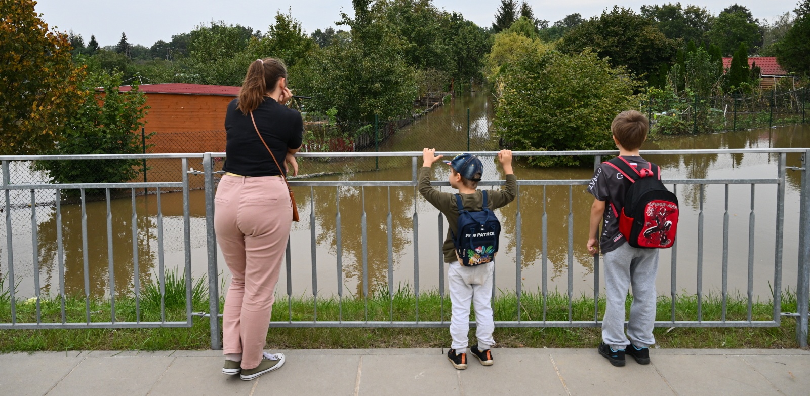 Fala powodziowa przechodzi przez Wrocław. Część ulic jest podtopiona - 19.09.2024 r. (PAP/Maciej Kulczyński)