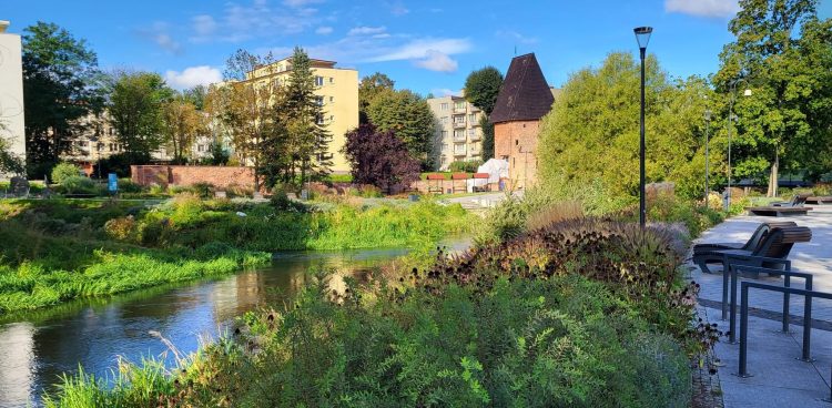 (fot. Paweł Krzemień)