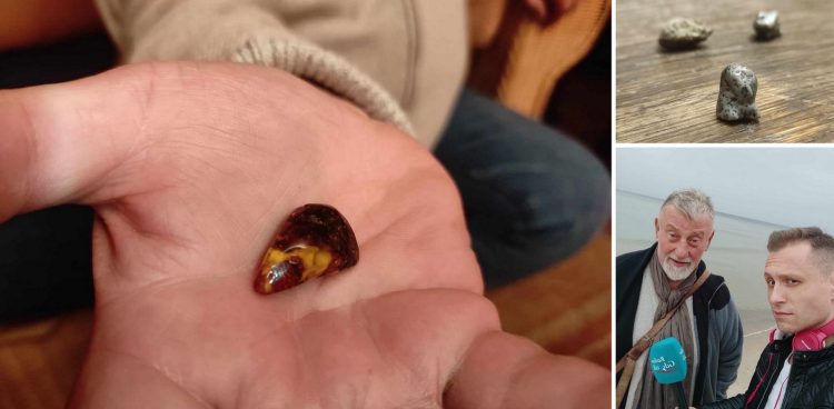 W audycji "Nad rozlewiskiem" opowiedzieliśmy o bursztynie
(Fot. Radio Gdańsk/Mateusz Czerwiński)