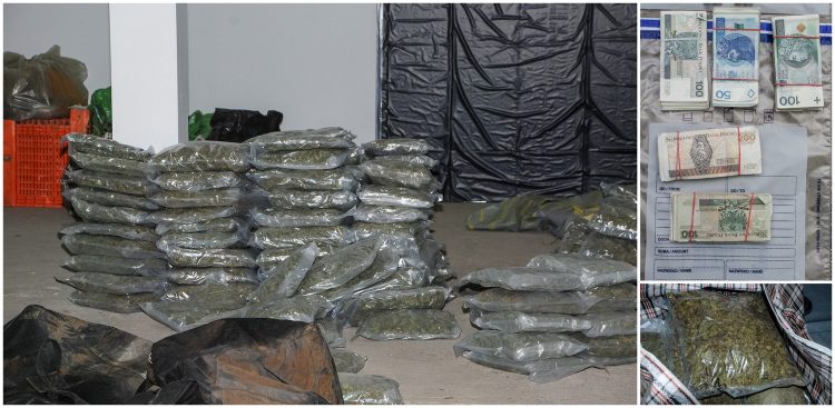 W Kościerskiej Hucie pod Kościerzyną Centralne Biuro Śledcze Policji znalazło ponad 320 kilogramów narkotyków i ponad 7 milionów złotych w gotówce
(Fot. Prokuratura Regionalna w Gdańsku)