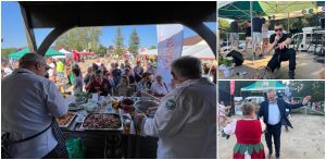 XI Festiwal Żurawiny w Dobrogoszczy (fot. Radio Gdańsk/Robert Groth)