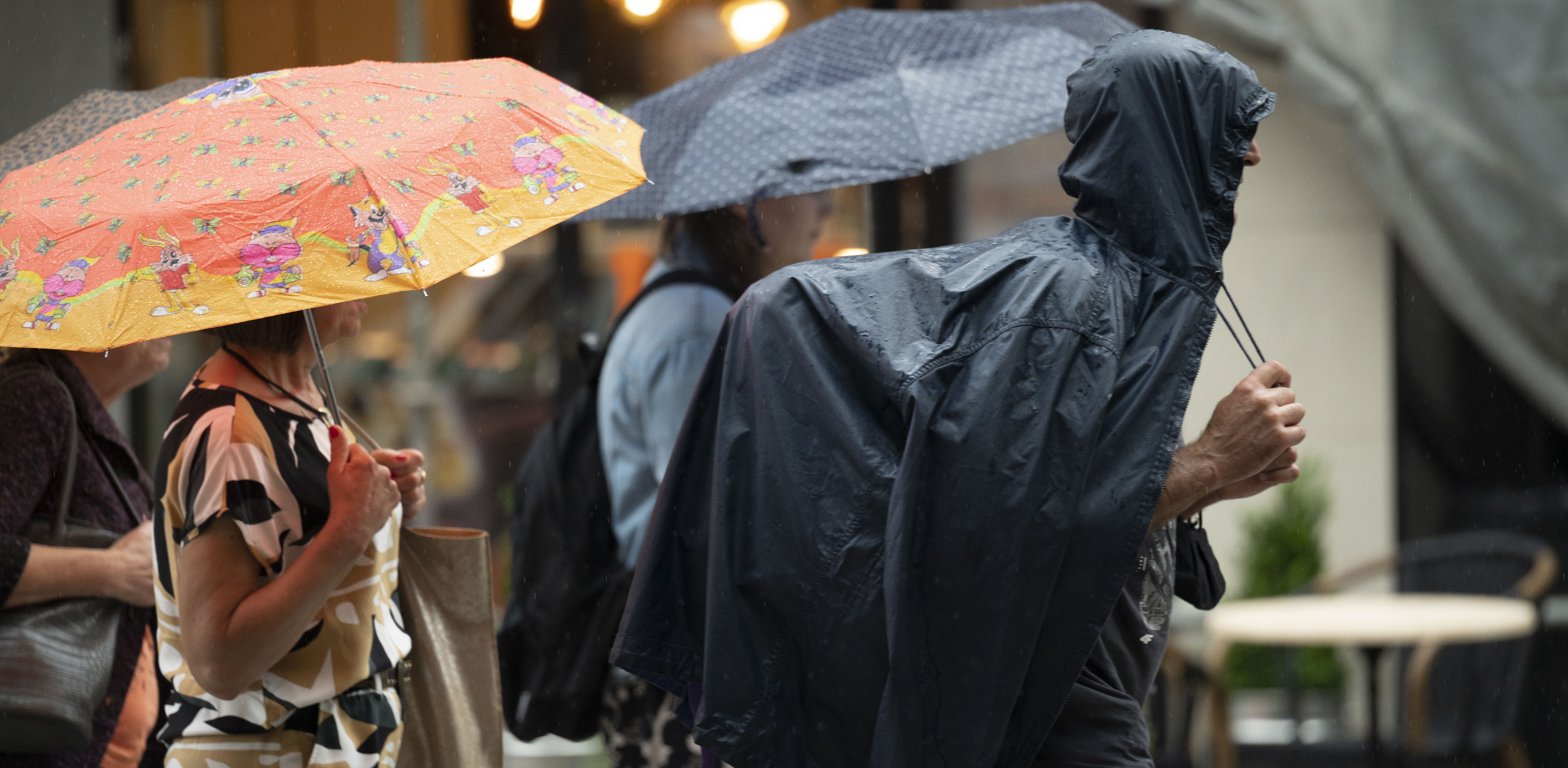 Meteorolodzy ostrzegają, że w nadchodzący weekend należy spodziewać się intensywnych opadów deszczu i silnego wiatru(Fot. Anna Bobrowska / KFP)