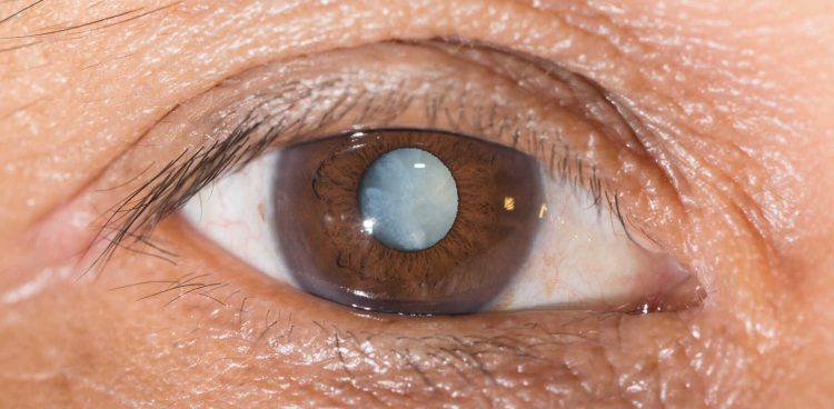 (fot. mat. sponsorowane)