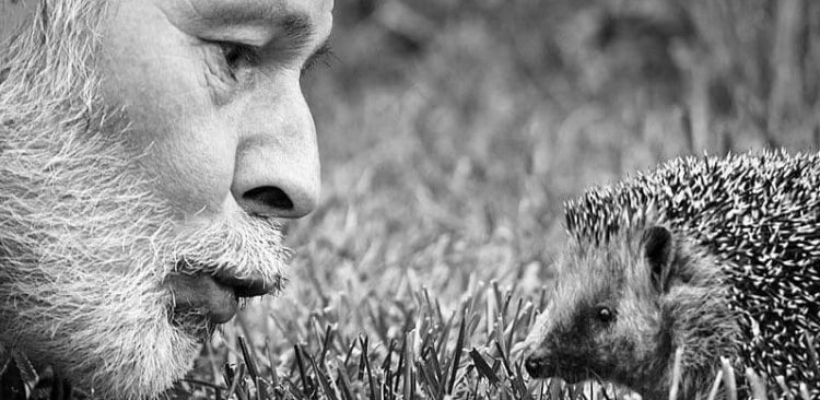 Jerzy Gara (fot. Facebook/Ośrodek Rehabilitacji Jeży "Jerzy dla Jeży" w Kłodzku)