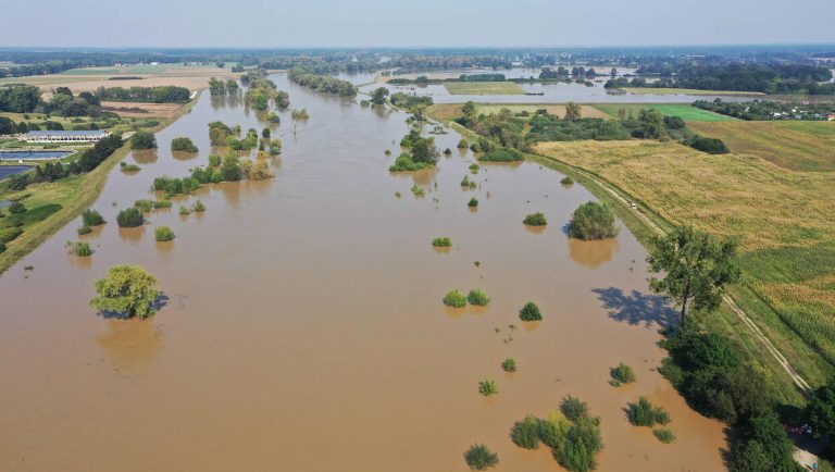 Fala kulminacyjna na Odrze w Oławie (fot. PAP/Maciej Kulczyński)