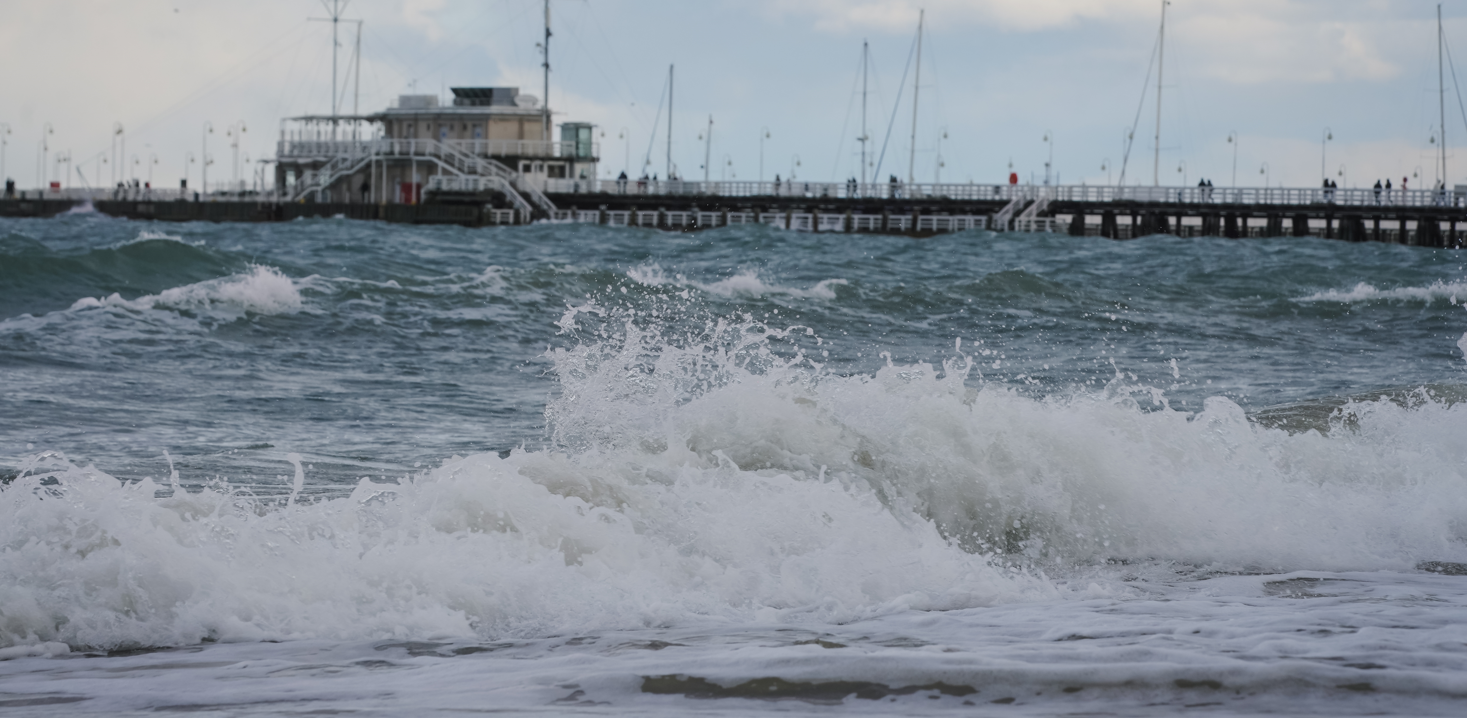 (fot. Anna Rezulak / KFP)