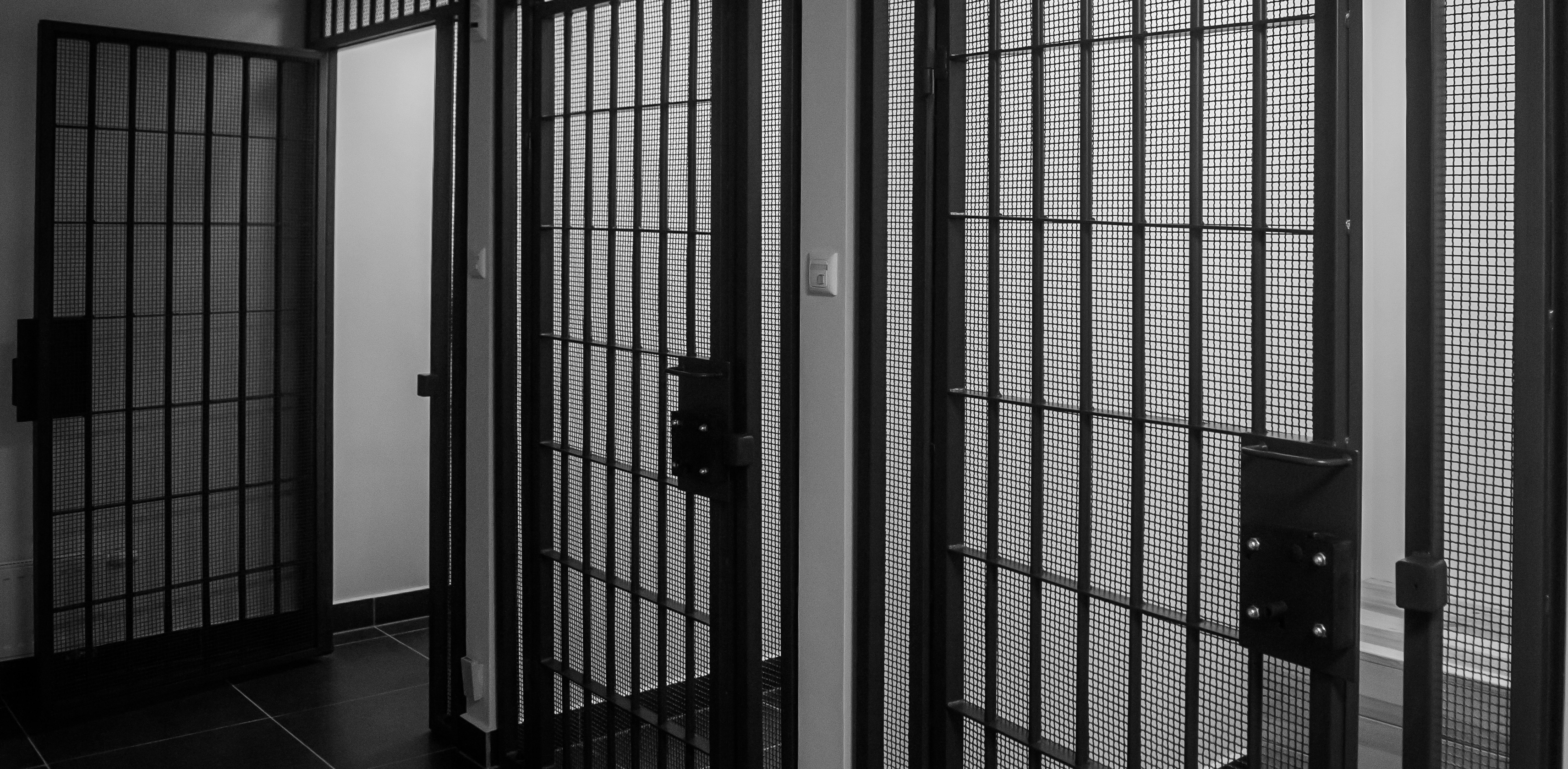 (fot. Agencja KFP/Mateusz Ochocki)