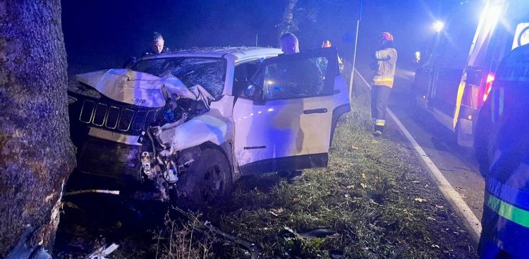 Wypadek w miejscowości Chlebówka (fot. KP PSP w Malborku)