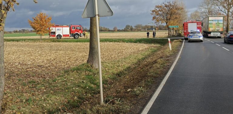 Miejsce, w którym rósł klon z przeciętym pniem