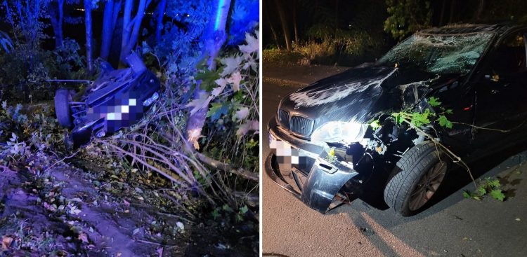 Auto zatrzymało się na drzewach
(Fot. KMP Gdynia)