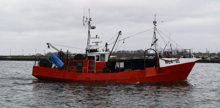 Rozładunek ryb z kutra do cystern.
(Fot. Anna Bobrowska / KFP)