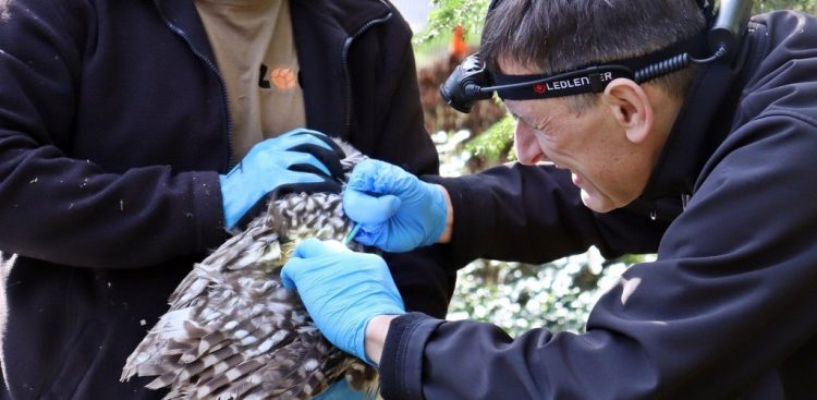 Mirosław Kalicki (fot. Zoo Gdańsk)